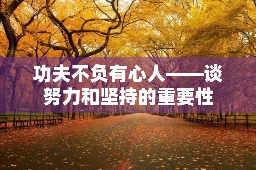 功夫不负有心人——谈努力和坚持的重要性