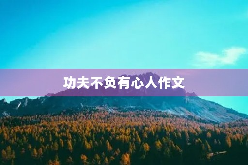 功夫不负有心人作文 功夫不负有心人作文