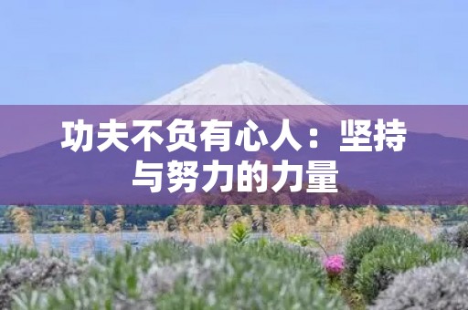 功夫不负有心人：坚持与努力的力量