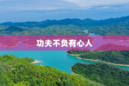 功夫不负有心人 功夫不负有心人