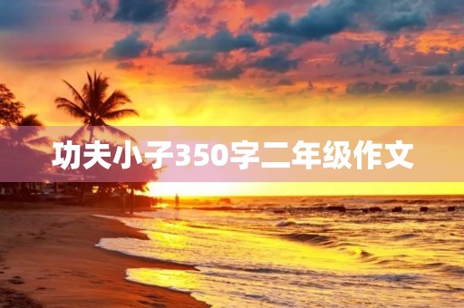 功夫小子350字二年级作文