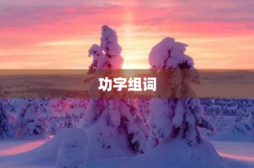 功字组词(功组词)