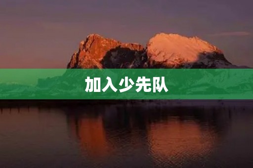 加入少先队