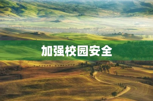 加强校园安全,共建和谐校园 加强校园安全,共建和谐校园