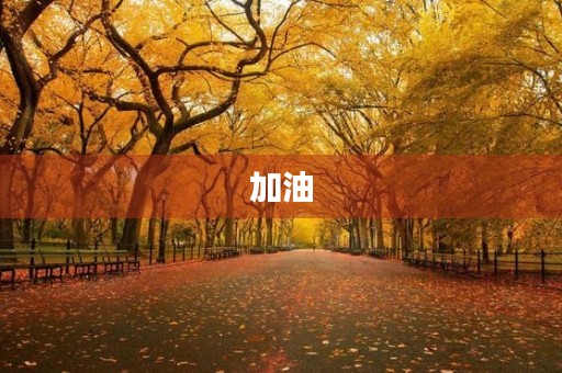 加油,生命不息,奋斗不止 加油,生命不息,奋斗不止