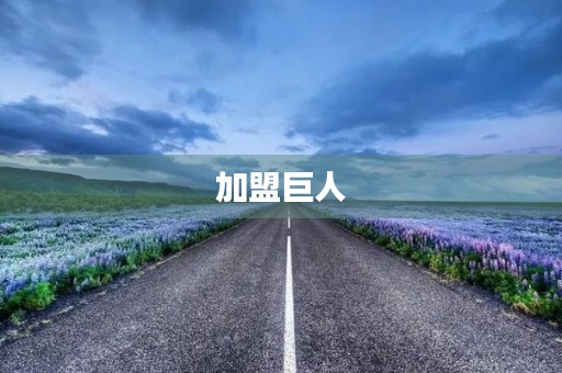 加盟巨人，成就梦想