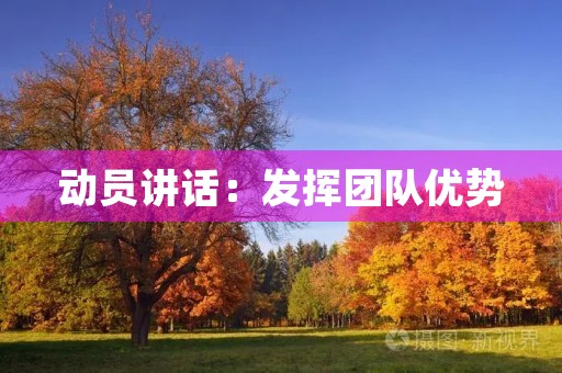 动员讲话:发挥团队优势,共创辉煌未来 动员讲话:发挥团队优势,共创辉煌未来