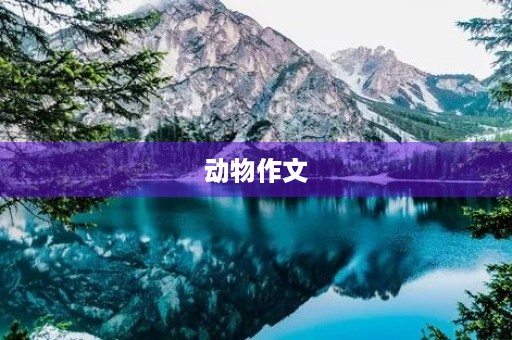 动物作文 动物作文
