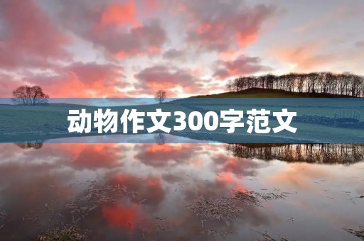 动物作文300字范文
