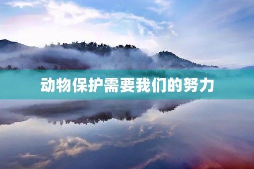 动物保护需要我们的努力