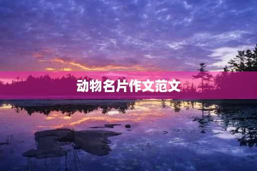 动物名片作文范文 动物名片作文范文
