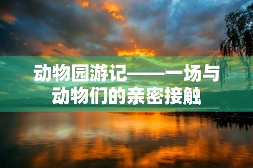 动物园游记——一场与动物们的亲密接触 动物园游记——一场与动物们的亲密接触