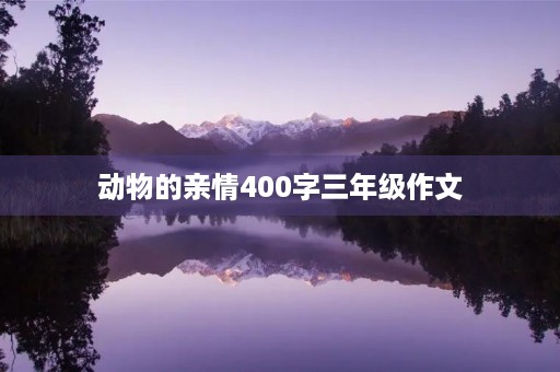 动物的亲情400字三年级作文 动物的亲情400字三年级作文