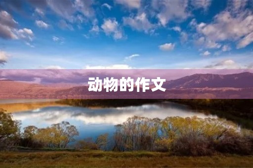 动物的作文