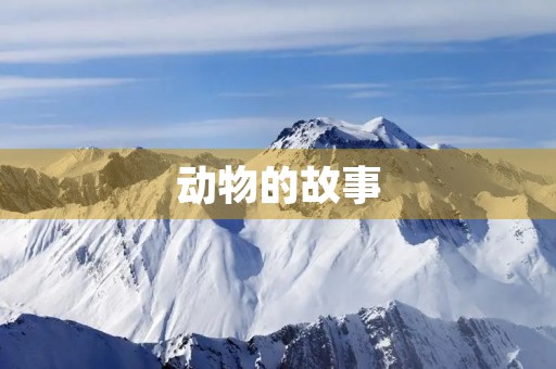 动物的故事