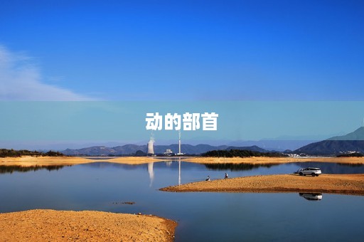 动的部首(动的部首) 动的部首(动的部首)