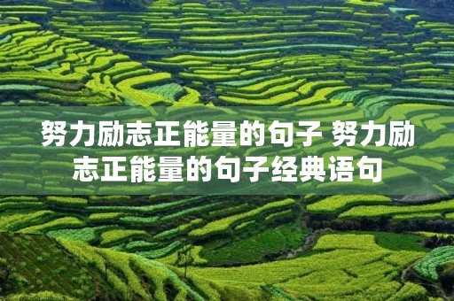 努力励志正能量的句子 努力励志正能量的句子经典语句 努力励志正能量的句子 努力励志正能量的句子经典语句
