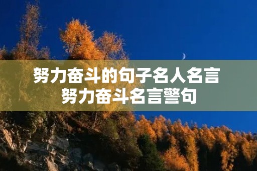 努力奋斗的句子名人名言 努力奋斗名言警句