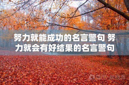 努力就能成功的名言警句 努力就会有好结果的名言警句长