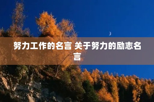 努力工作的名言 关于努力的励志名言 努力工作的名言 关于努力的励志名言