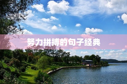 努力拼搏的句子经典，努力拼搏的句子经典简短
