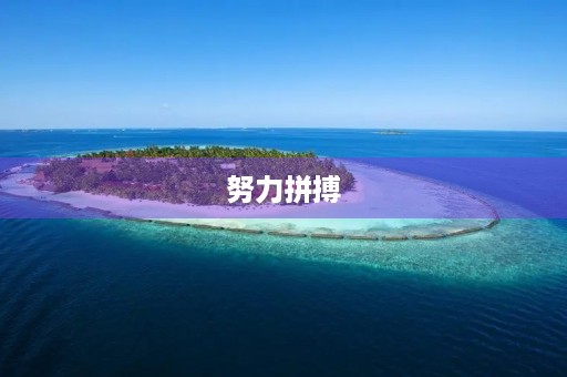 努力拼搏，成就未来——教导主任竞聘演讲稿