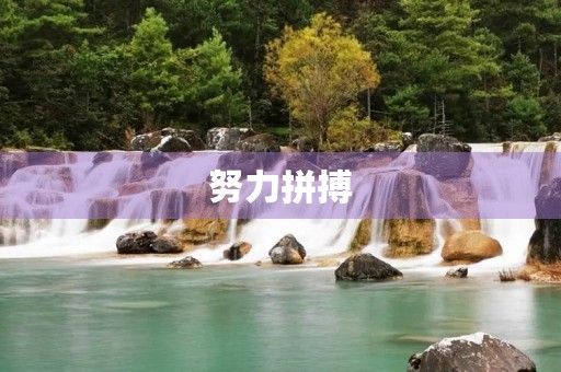 努力拼搏,迎接新挑战——上半年工作总结及下半年工作计划