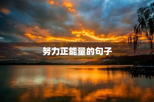 努力正能量的句子，努力正能量的句子经典语句