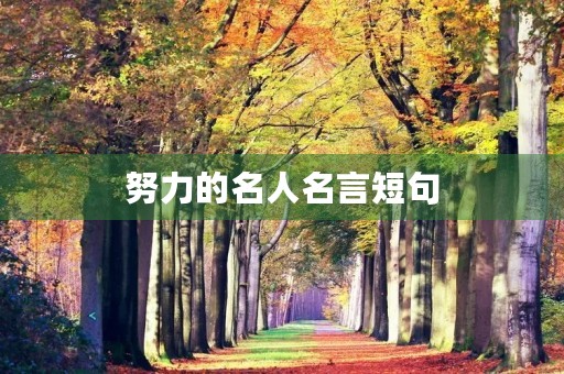 努力的名人名言短句,有关努力的名人名言短句 努力的名人名言短句,有关努力的名人名言短句