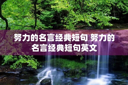 努力的名言经典短句 努力的名言经典短句英文