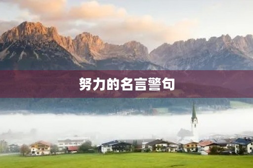 努力的名言警句(努力的名言警句有哪些) 努力的名言警句(努力的名言警句有哪些)