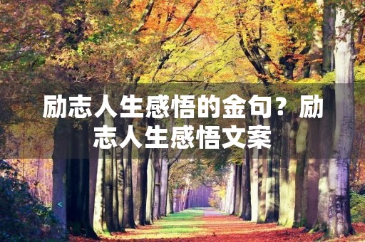 励志人生感悟的金句？励志人生感悟文案