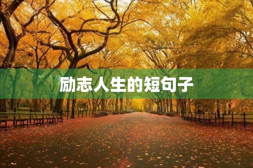 励志人生的短句子(励志人生的句子经典语句)