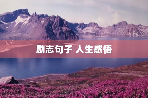 励志句子 人生感悟，励志句子人生感悟哲理的短句