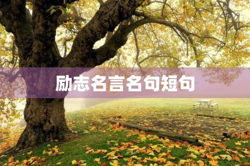 励志名言名句短句,励志名言名句短句摘抄 励志名言名句短句,励志名言名句短句摘抄