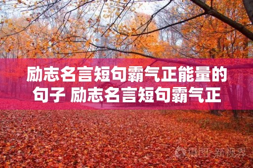 励志名言短句霸气正能量的句子 励志名言短句霸气正能量的句子简短