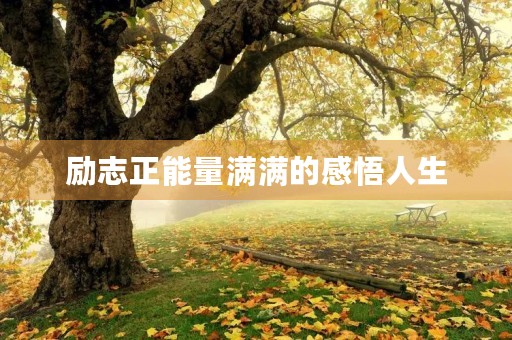 励志正能量满满的感悟人生(励志正能量满满的感悟人生的句子) 励志正能量满满的感悟人生(励志正能量满满的感悟人生的句子)