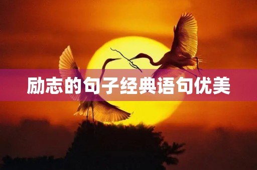 励志的句子经典语句优美，励志的句子经典语句优美75句