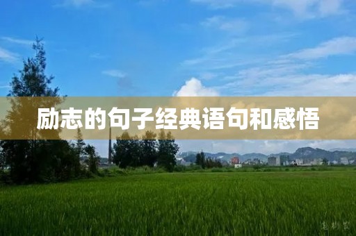 励志的句子经典语句和感悟(励志的句子经典语句发朋友圈)
