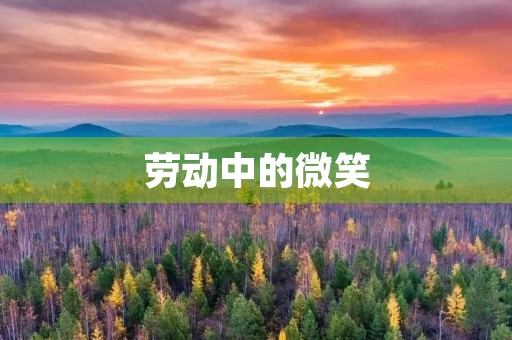 劳动中的微笑 劳动中的微笑
