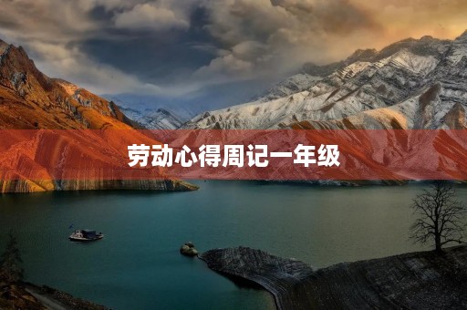 劳动心得周记一年级