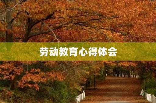 劳动教育心得体会