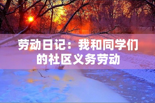 劳动日记：我和同学们的社区义务劳动
