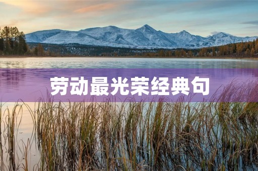 劳动最光荣经典句(劳动最光荣经典句英语)