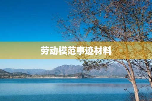 劳动模范事迹材料