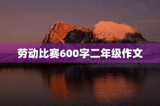 劳动比赛600字二年级作文