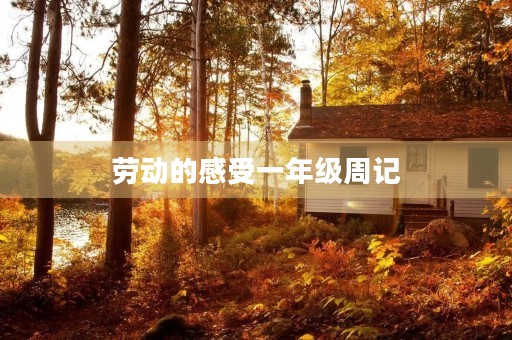 劳动的感受一年级周记