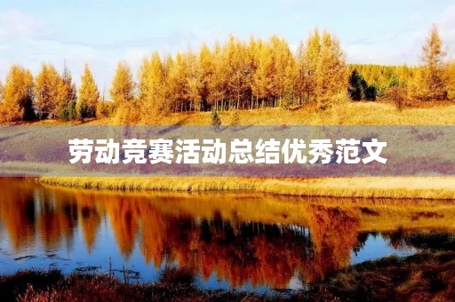 劳动竞赛活动总结优秀范文
