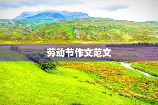 劳动节作文范文