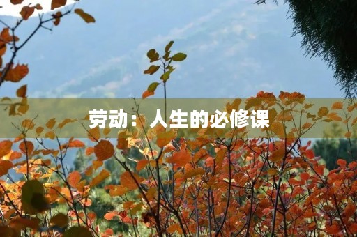 劳动：人生的必修课